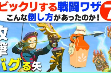 [ティアキン] 成功したらカッコいい！驚きの戦闘テクニック７ [ゼルダの伝説 ティアーズ オブ ザ キングダム]