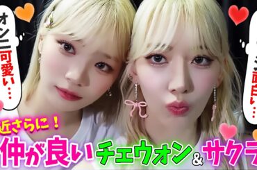 【LE SSERAFIM】お互いさらに惹かれはじめたサクラとチェウォン【日本語字幕】