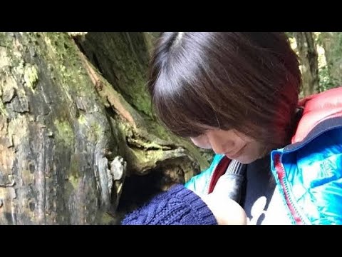 46歳・釈由美子、美貌変わらずも「身体見るの嫌だから、真っ暗にして入浴」　出産で変わった人生観