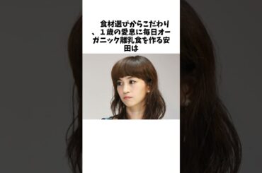 安田美沙子 夫の浮気で車イス生活に #雑学#エンタメ #ゆっくり解説