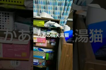 2024年6月19日