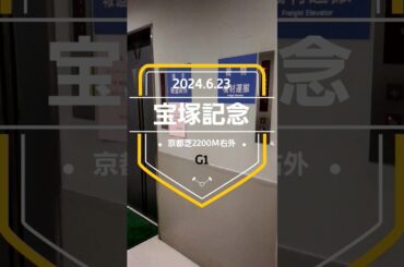 【宝塚記念2024】上位5頭予想！いよいよ上半期ラストのG1！果たしてグランプリホースに輝くのは！？