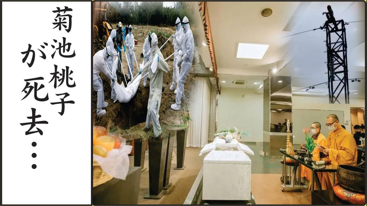 菊池桃子の娘が事故死…菊池桃子のまさかの現在や夫と別れた理由に驚かされた… 菊池桃子の娘が事故死…菊池桃子のまさかの現在や夫と別れた理由に驚かされた…