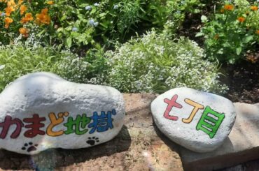 20240610@《風華恋》北乃きい