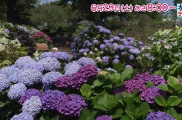 「ロコレコ！」は山之内すず！ゲストの旅は牧瀬里穂！「旅サラダ」6月29日（土）放送