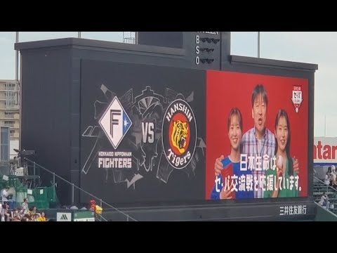20240530　日本生命ｾ･ﾊﾟ交流戦2024の限定CMが流れる！【俳優の佐藤二朗、久間田琳加、飯沼愛が出演】試合前　阪神ﾀｲｶﾞｰｽ主催試合@阪神甲子園球場･ﾚﾌﾄ外野