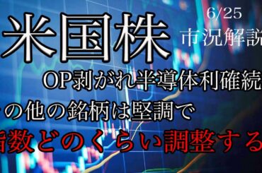 6/25【米国株】OP剥がれ半導体の利益確定売り続く！その他の指数に寄与度の高い銘柄はまちまちで、指数調整いつまで続く？