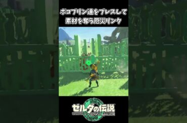 【ティアキン】ボコブリン達をプレス機で潰す厄災リンク【ゼルダの伝説 ティアーズ オブ ザ キングダム】