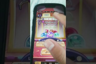 きのこ伝説 #きのこ伝説 #おすすめ