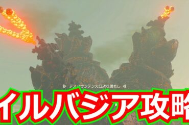 [ゼルダの伝説]イルバジア攻略！/ティアキン。