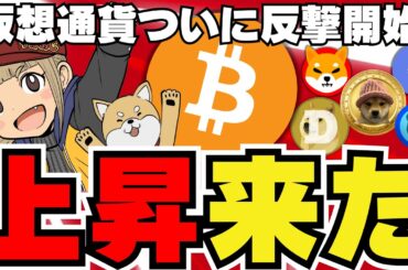 【🔥仮想通貨上昇】7月上昇説濃厚！脳が溶ける衝撃／〇〇系ミームコインが強い！ドージコイン柴犬はどうなの？／今急上昇中コインはどれだ？