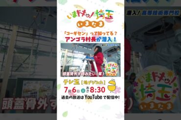 【予告】#アンゴラ村長 #にゃんこスター #松井咲子 #小堺翔太 #岡本寛志 #高等技術専門校 #いまたま #埼玉県 #埼玉 #shorts