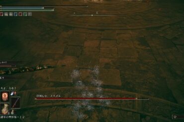 ELDEN RING_20240625222610