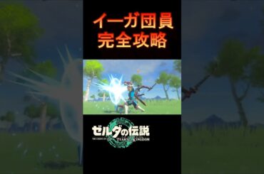 イーガ団員 完全攻略#ゼルダの伝説 #ティアキン #tearsofthekingdom #nintendoswitch