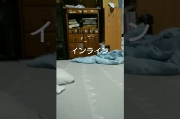 2024年6月19日