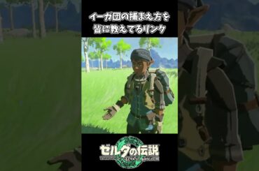 【ティアキン】イーガ団の捕まえ方を教えてあげるリンク【ゼルダの伝説 ティアーズ オブ ザ キングダム】