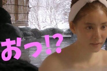 【新木優子】美しすぎる彼女に酔いしれて下さい！