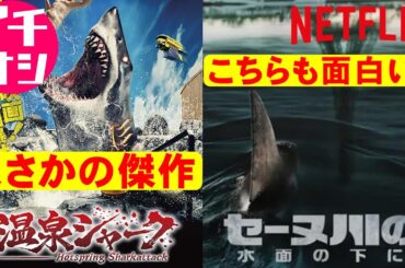【2本】映画『温泉シャーク』『セーヌ川の水面の下に』【鮫映画 Netflix 映画レビュー 考察 興行収入 興収 filmarks】