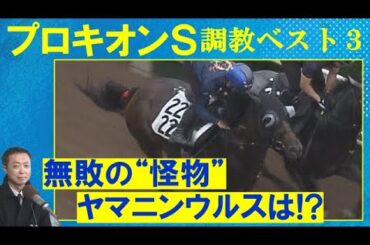 【約６か月ぶりの実戦！ヤマニンウルスの状態は？逆転の可能性があるのは…】ヤマニンウルス、スレイマン、ハピ・・・　競馬エイト・高橋賢司トラックマンの調教解説＜プロキオンステークス(ＧⅢ)＞