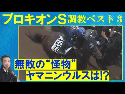 【約6か月ぶりの実戦!ヤマニンウルスの状態は?逆転の可能性があるのは…】ヤマニンウルス、スレイマン、ハピ・・・ 競馬エイト・高橋賢司トラックマンの調教解説<プロキオンステークス(GⅢ)> 【約6か月ぶりの実戦!ヤマニンウルスの状態は?逆転の可能性があるのは…】ヤマニンウルス、スレイマン、ハピ・・・ 競馬エイト・高橋賢司トラックマンの調教解説<プロキオンステークス(GⅢ)>