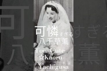 可憐すぎる八千草薫  8 - ⑥    Too  Cute    ☆Kaoru  Yachigusa