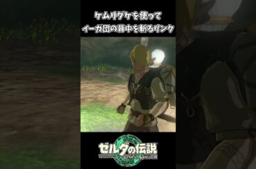 【ティアキン】ケムリダケを使ってイーガ団を倒すリンク【ゼルダの伝説 ティアーズ オブ ザ キングダム】