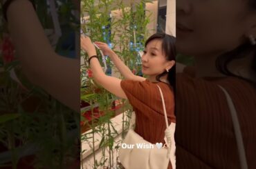 2024年7月8日 Perfume かしゆかさんインスタグラム投稿寄せ集め・他～七夕のお願いはこれでした💛#Perfume#かしゆか#あーちゃん#のっち