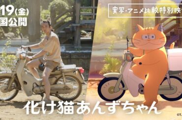 映画『化け猫あんずちゃん』＜実写・アニメ比較特別映像＞【2024年7月19日公開】