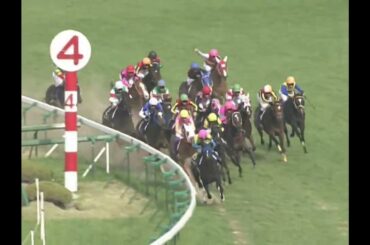 ラインクラフト 2005年 第65回桜花賞(GI) (優勝馬：ラインクラフト)