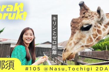 ナイトサファリ大迫力🦒🐈🐘ずっとかわいい🦁Hand-feeding giraffes and elephants!First night safari experience!