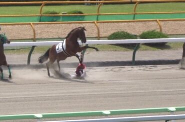 函館6Rにて新馬ローレルゼロが飛行機に驚いて齋藤新騎手が落馬！