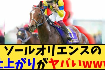 【競馬】「ソールオリエンス 雨予報で期待が高まる」に対する反応【反応集】