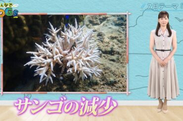 みんなでSDGs #15 |2024年7月11日放送