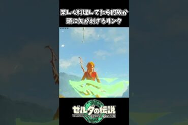 【ティアキン】楽しく料理してたら頭に矢が刺さるリンク【ゼルダの伝説 ティアーズ オブ ザ キングダム】
