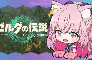 【ゼルダの伝説TotK】 #05   天鳥船、空の神殿攻略！！！ゼルダの伝説ティアーズオブザキングダム【えむねこ】