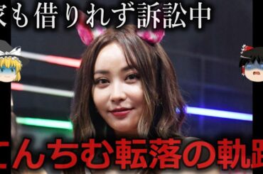 【ゆっくり解説】今は見る影もなく...てんちむ転落の軌跡をゆっくり解説