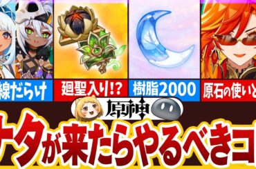 【原神】新国「ナタ」が来たらすぐやるべきこと5選