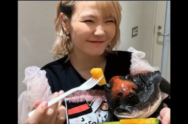 札幌公演ハラミちゃん🍖🎹生音ｺﾝｻｰﾄの思い出写真♪ / お米🍚編集