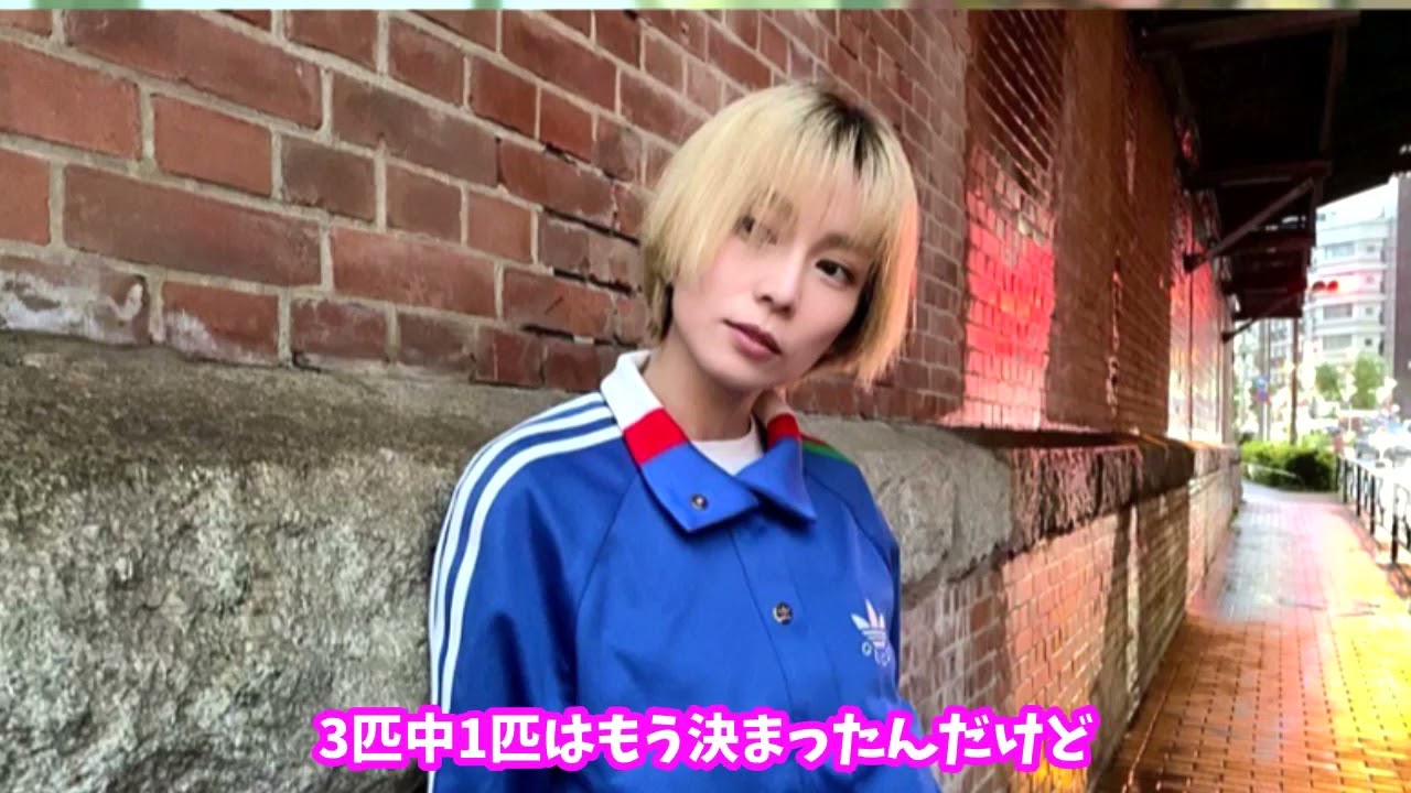 【柴咲コウ】大河ドラマ出演で喜ぶ父親!猫は父親の膝でご満悦 【柴咲コウ】大河ドラマ出演で喜ぶ父親!猫は父親の膝でご満悦