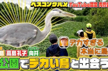 【先行配信】川島さん&高島礼子さん&パンサー向井さんが公園でデカい鳥と出会う『ベスコングルメ』【TBS】