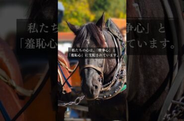 青蘭ひとみ   今日の星読み　2024/7/15