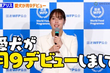 広瀬アリス、上半期1番のニュースは愛犬の月9デビュー「いっぱい連絡がきました」　国連WFP協会 親善大使就任記者発表会