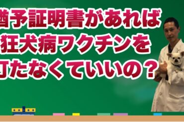 【誤解注意】「狂犬病予防注射接種猶予証明書」で本当に狂犬病ワクチンは免除されるの？【獣医師解説】