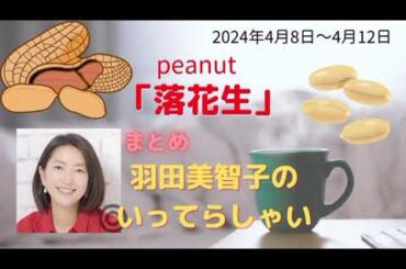 落花生羽田美智子いってらっしゃい