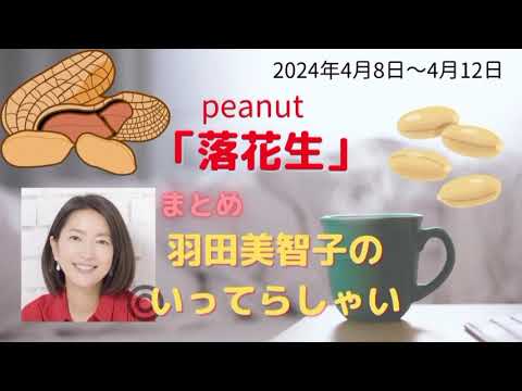 落花生羽田美智子いってらっしゃい