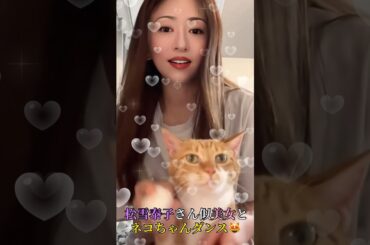 松雪泰子さんに似てる美女が猫なので猫ちゃんとダンスしたら？#shorts#松雪泰子