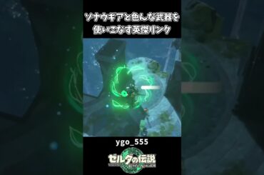【ティアキン】これが戦闘を極めた英傑リンクの魅せプレイ【ゼルダの伝説 ティアーズ オブ ザ キングダム】