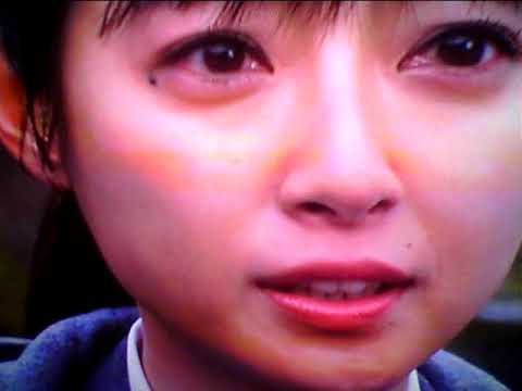 Hideo Ishihara Synphony 2024 7 1 TV Asahi Tamori TokyoDome瀧本美織EndressLoveAerosmithArmagedonSubaru七夕