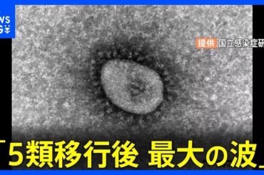「5類移行後 最大の波」新型コロナ患者9週連続で増加 真夏の流行にどう対処？｜TBS NEWS DIG
