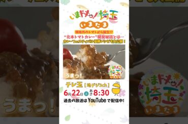【ショートver.】#カレー #北本トマトカレー #トマトカレー #とまちゃん #小堺翔太 #松井咲子 #カナイ #明坂聡美 #いまたま #埼玉県 #埼玉 #shorts